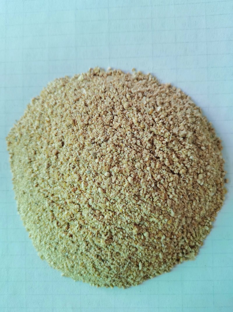 مچھلیوں کی خوراک